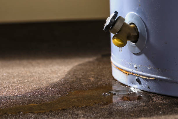 Best Water damage restoration company  in Annapolis, MD