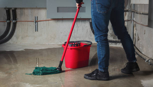 Best 24/7 water damage repair  in Annapolis, MD