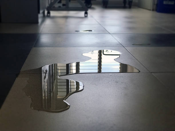 Best Professional water damage repair  in Annapolis, MD