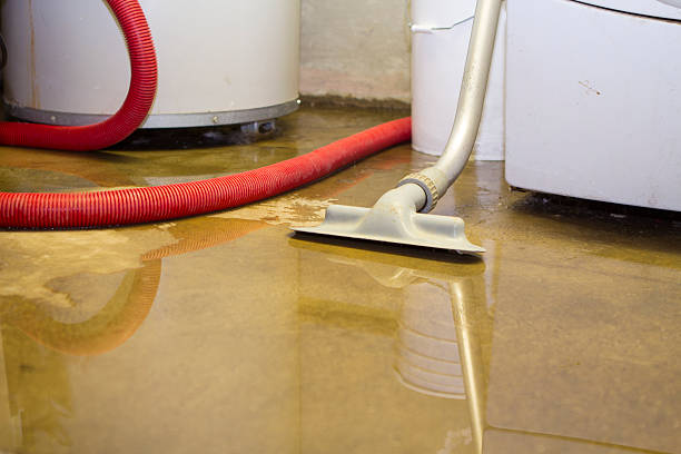 Best Basement water damage restoration  in Annapolis, MD