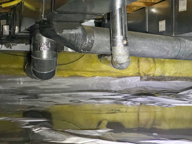 Best Carpet water damage restoration  in Annapolis, MD