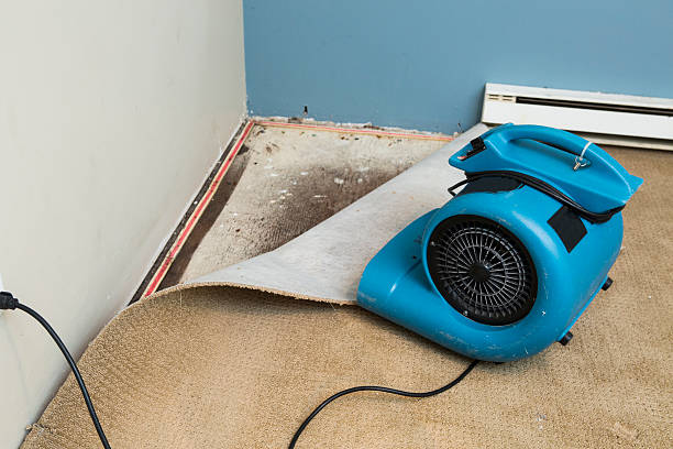 Best Water damage contractors near me  in Annapolis, MD